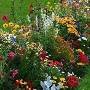 Meet your Posher, Jane